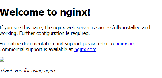 Welcome to nginx screen with missing image icon..